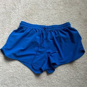 Aritzia Size M Blue Shorts. Barely worn, so in great condition.